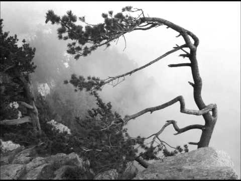 Lamentations of the Ashen - In Distance (Implorations Unto the Wind)