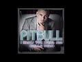 Pitbull I Know You Want Me With Download Link + ...