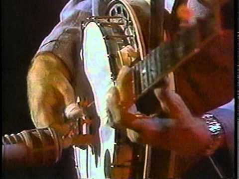 Rounder Allstars 1990 - Bugle Call Rag - Alison Krauss, Grisman, Tony Rice, JD Crowe