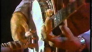 Rounder Allstars 1990 - Bugle Call Rag - Alison Krauss, Grisman, Tony Rice, JD Crowe