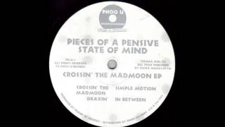 Pieces Of A Pensive State Of Mind ‎– Simple Motion