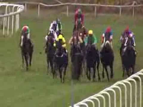 Galopprennbahn Dresden - 22.11.2013 - 3.Rennen