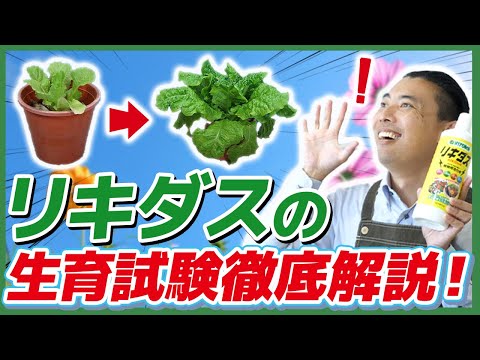 リキダンバーについて詳しく解説