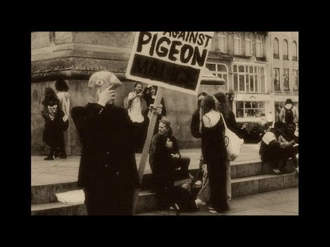 Pigeon Mafia Takes out the Trash (FULL FILM)