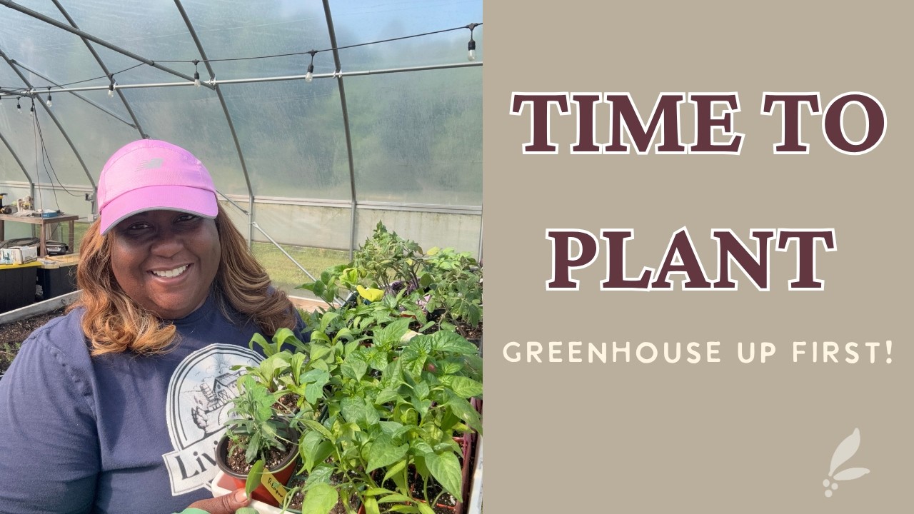 Time to Start Planting!