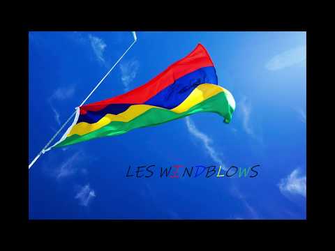 06 - LES WINDBLOWS -  Fouille Manioc