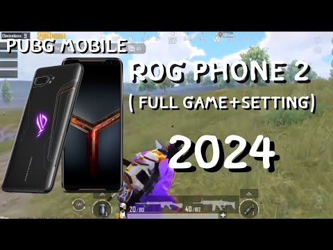 ROG Phone 2 l Test2024 l PUBG Mobile l Setting