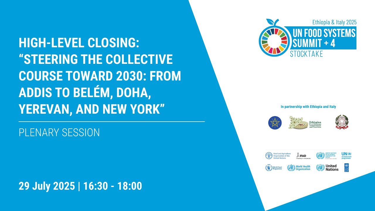 UNFSS+4 Steering the collective course toward 2030: From Addis to Belém, Doha, Yerevan, and New York