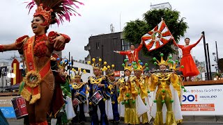 草加よさこいサンバフェスティバル2024⑪G R E S  アカデミコス ダ グローリア