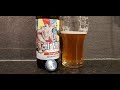 Hi Wire Hi Pitch Mosaic IPA By Hi Wire Brewing Company | American Craft Beer Review