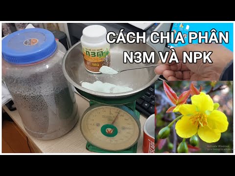🔴 QBS2295 - CÁCH CHIA TỈ LỆ N3M, CÁCH DÙNG N3M, CÁCH CHIA TỶ LỆ PHÂN BÓN NP3 CHO CÂY MAI VÀNG, N3M