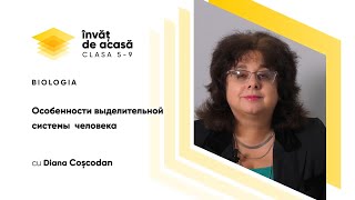  "Особенности выделительной системы  человека"