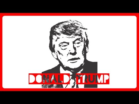 Donald  Trump, ein Porträt des 45. US Präsidenten - Mfiles 012