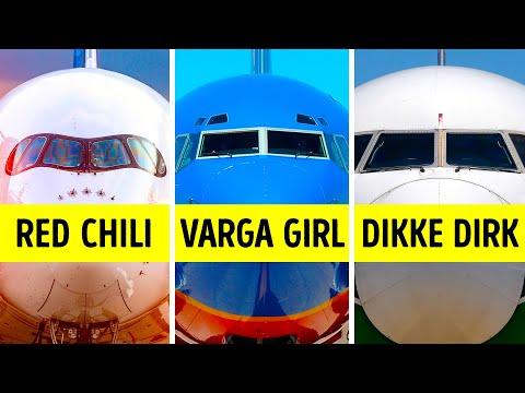 一部の航空会社では、乗客に飛行機の名前を選択させることができます (Some Airlines Let Passengers Choose a Plane Name)