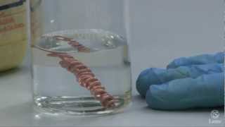 Lattes Editori - Esperimento di chimica: reazioni di ossido riduzione - parte seconda