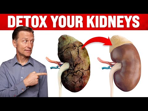 The Top SUPERFOODS for the Kidneys—Explained by Dr Berg
