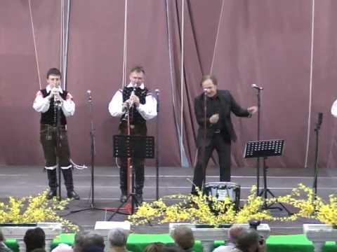 Alfi Nipič in njegovi muzikanti - Ljubo doma, kdor ga ima (v živo)