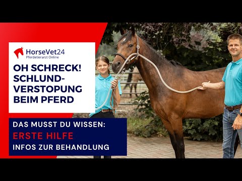 Schlundverstopfung beim Pferd erkennen, erste Hilfe und Behandlung / HorseVet24