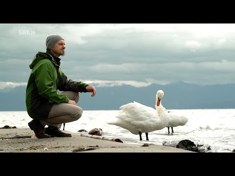 Buchvorstellung "Allein kann ich die Welt nicht retten" im SWR Fernsehen bei KUNSCHT