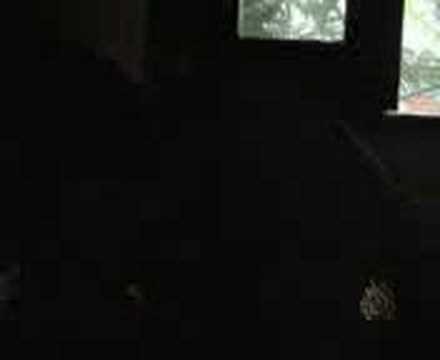 michelino ft. lu marra