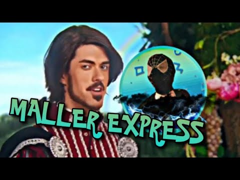 MALLER EXPRESS-THE SQUATTY POTTY (THIS UNICORN CHANGED THE WAY I POOP)