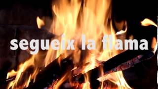 Sopa de Cabra - El Far del Sud (Lletra)