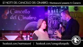 Mantrasound Intervista -Silvia Dainese - al Cancello del Cinabro - Opening Act ad Alberto Camerini