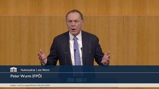 Peter Wurm - Außen- und Europapolitischer Bericht 2024 - 25.2.2026