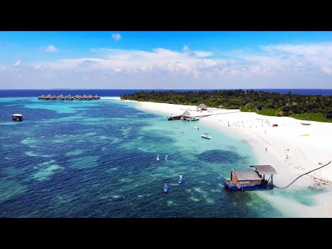 Stand Up for our Seas 2019 full film - Stand Up Paddleboarding expedition in the Maldives