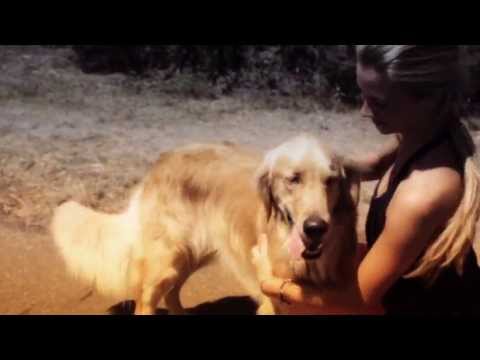 Back Around (Official) - IRATION