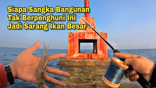 Download lagu Gilak..!! Nekat Mancing Sendirian Disini Malah Strike Ikan Babon-babon Penghuni Lampu Dam Merah mp3