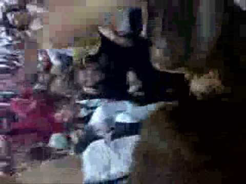 NiiL-B ft. Fresh-P - Maturant 2010