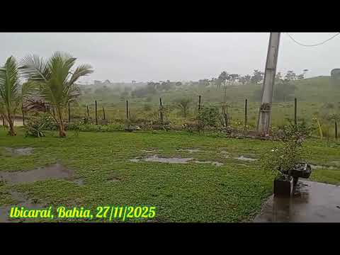 🇧🇷 CHUVA EM IBICARAÍ, BAHIA 27/11/2025
