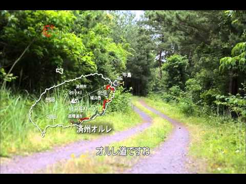 Rotas imperdíveis coreanas de Chaerim, edição Jeju-do