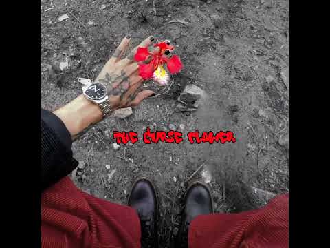 SNAPPER - THE CURSE FLOWER