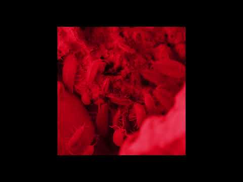 Self Portrait - Carlos Lacasa