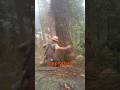 Tree Falls Apart While Being Cut Down