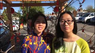 Xuân Đinh Dậu 2017