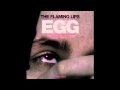 Ma, I didn't Notice - The Flaming Lips
