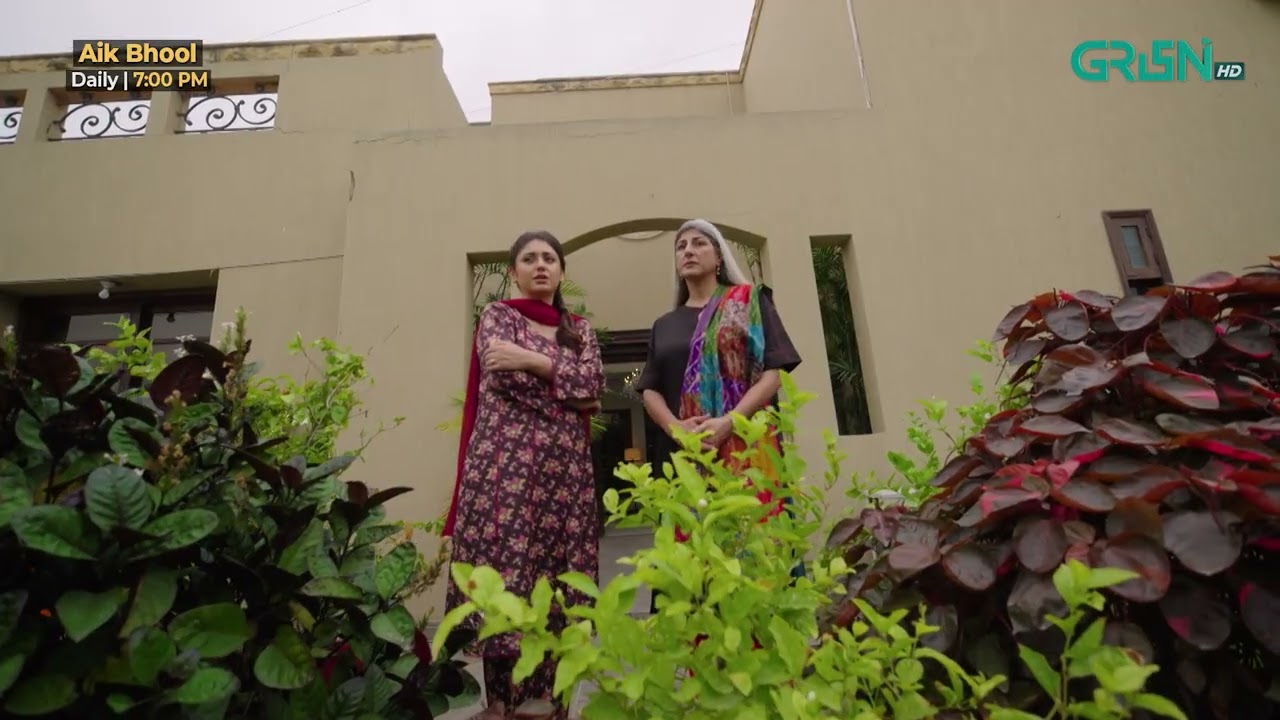 Aik Bhool Episode 33 | Best Scene 01 | Green TV Entertainment