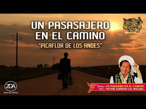 Picaflor de los Andes - UN PASAJERO EN EL CAMINO