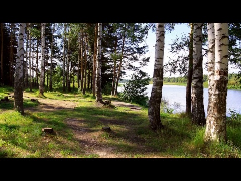 Padma Previ  – Om Shrim Swaha