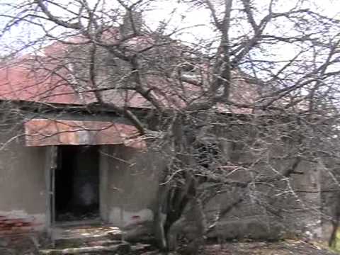 sohodol casa parinteasca