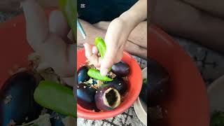 شوفوا كيف لنعمل محشي البتنجان بالحرب تفضلو معنا 😋😋