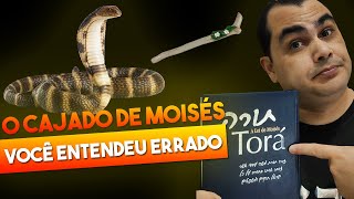 O cajado de Moiss se transformou em serpente - Voc Entendeu Errado | Curso AlefTav