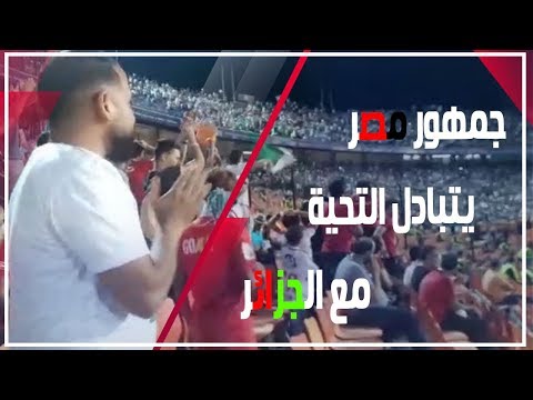 شاهد..جماهير مصر والجزائر يتبادلان التحية بعد هدف بونجاح في السنغال