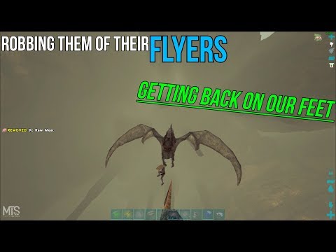 Restarting Day 2 of the Wipe | WE CLEARED THEM OUT | MTS Main Ep 2