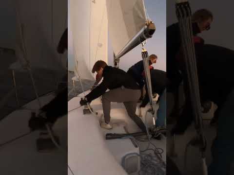 J29 crew training TACKING! #regatta #sailboat #boat #yacht #watercraft #sail #saildallas #j29