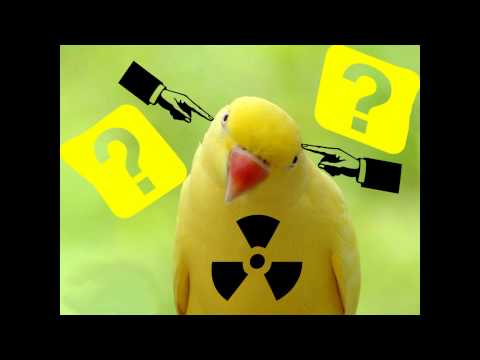 Yellow - Weekend Money