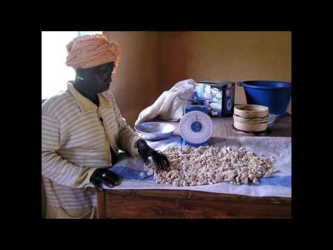 Baobab-the superfruit that gives hope.